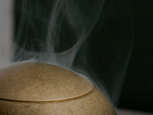Load image into Gallery viewer, OIL BURNER